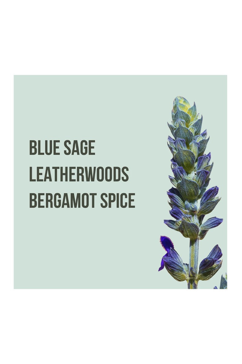 Brume Come Find Me - Boisée et mixte - Bergamote, sauge bleue et bois de cuir